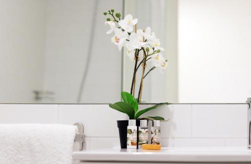 HM - Carlos Alberto Apartment 2