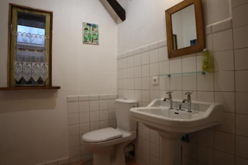 une salle de bain avec toilettes et lavabo dans l'établissement Le moulin scalagrand, à Mazières