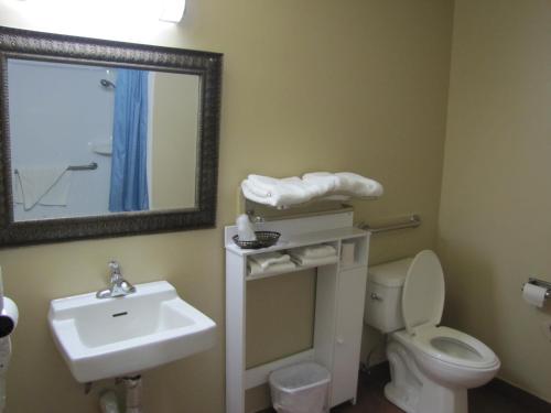 a bathroom with a sink and a toilet and a mirror at Valley Inn Motel in Sudbury