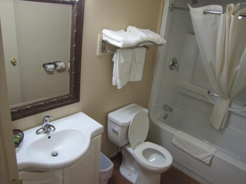 a bathroom with a sink and a toilet and a shower at Valley Inn Motel in Sudbury