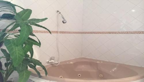 ein Badezimmer mit einer Badewanne und einer Pflanze in der Unterkunft Villa Bella Portbou in Portbou