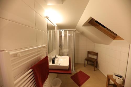 a bathroom with a sink and a shower at Gasthof Ochsen in Hittisau