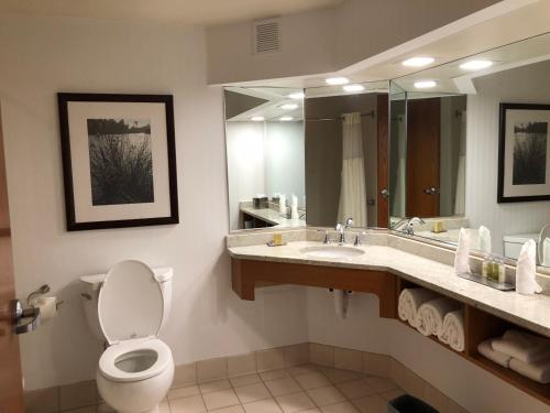 a bathroom with a toilet and a sink and a mirror at Wyndham Garden Buffalo Downtown in Buffalo