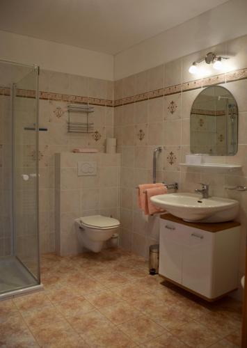 a bathroom with a toilet and a sink and a shower at Pension Hohenau in Fuschl am See