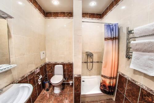 Safonovo的住宿－Brothershotel ru，浴室配有卫生间、盥洗盆和淋浴。