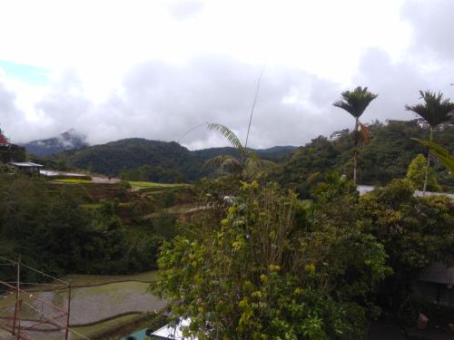 a view of a valley with trees and a mountain at Savta Homestay in Banaue