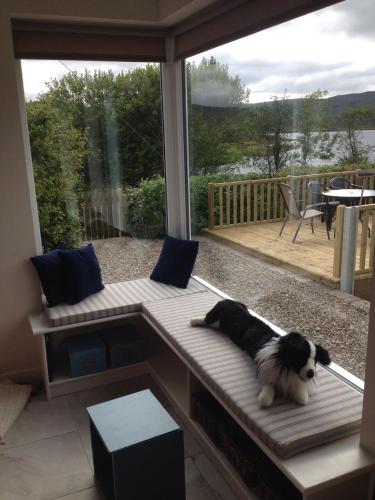 a dog laying on a bench on a patio at Lakeside house in Oughterard