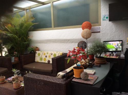 - un salon avec un canapé et une table ornée de plantes dans l'établissement The Palma Home, à Bogotá