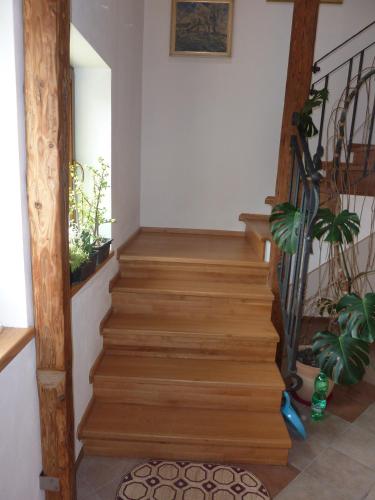 a staircase in a home with wooden stairs and plants at Ubytování Podolí U Křížku in Telč
