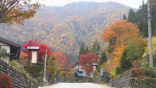 an autumn view of a mountain with fall foliage at Katsuragi no Sato in Takayama