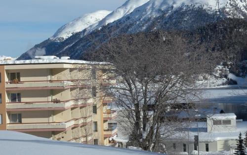 ein Baum vor einem Gebäude mit einem schneebedeckten Berg in der Unterkunft Allod Bad 102 in St. Moritz