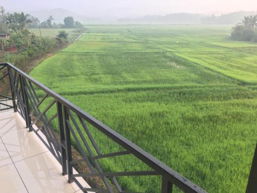 a view of a rice field from a balcony at Paddyfield Inn in Mananthavady