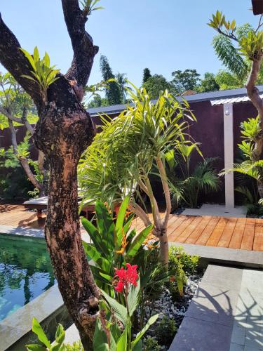 a garden with trees and plants next to a pool at Taman Senang - Private Pool Villas - Gili Air in Gili Air