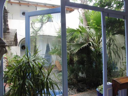 Κήπος έξω από το Albergo Boutique Casajanca