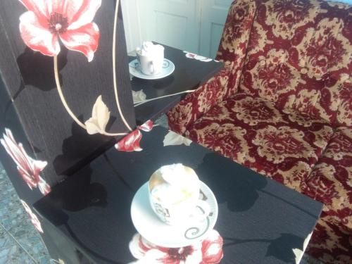 a black coffee table with a tea set on a couch at Vila la Izvorul Putinei in Haţeg