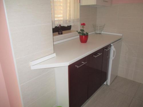 a bathroom with a counter with a sink and a mirror at Apartman Bukaleta in Loznati in Loznati