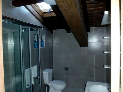 a bathroom with a toilet and a glass shower at Eskolazaharra in Oronoz-Mugaire