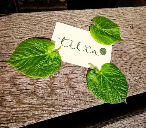 a piece of paper and two green leaves on a table at Hotel garni Tilia in Quedlinburg