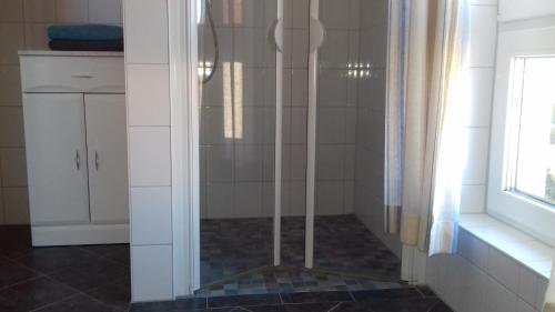 a shower with a glass door in a bathroom at Ferienhaus Kaptein Meyer in Zingst
