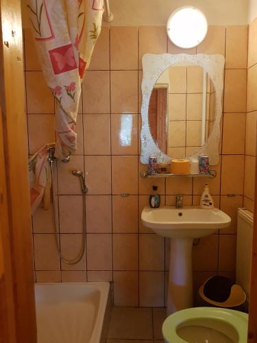 a bathroom with a sink and a shower with a mirror at Pension Bran Ioana& SPA in Bran