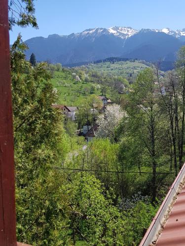 a view of a valley with snow covered mountains at Pension Bran Ioana& SPA in Bran