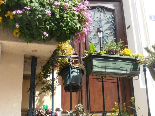 a door with a bunch of flowers on it at L'Orchidée in Ginestas