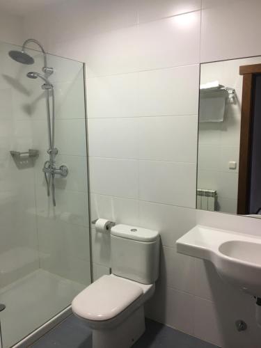 a bathroom with a shower and a toilet and a sink at Apartamentos Irati in Espinal-Auzperri