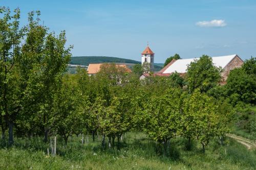 a row of trees in a field with a church at Penzion U Křížku in Kobylí