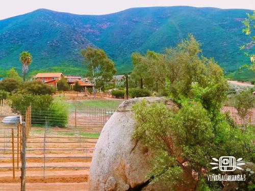 a large boulder in a field with a fence at Viña Calabria in Valle de Guadalupe