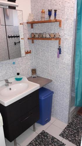 une salle de bain avec un lavabo et un miroir dans l'établissement Chambre d'hôte Zen chez Philippe Parking free, à Marseille