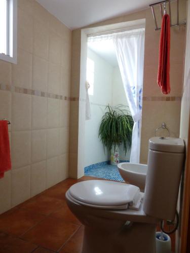a bathroom with a toilet and a shower and a sink at Casa Mariano in Rasquera