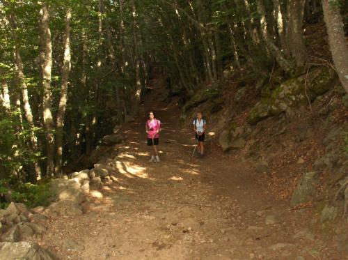 two people walking on a dirt trail in a forest at Hotel Paradiso Delle Madonie in Castelbuono