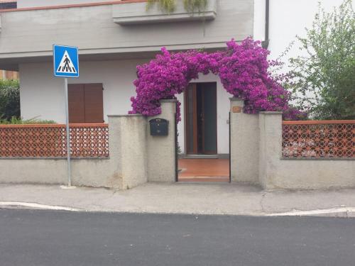 阿爾比尼婭的住宿－Villa Lory Albinia，前面有紫色花的房屋