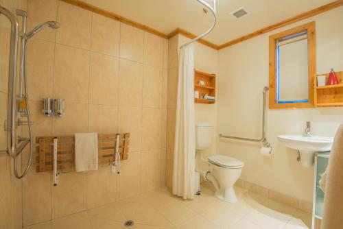 a bathroom with a shower and a toilet and a sink at Coronation Lodge in Queenstown