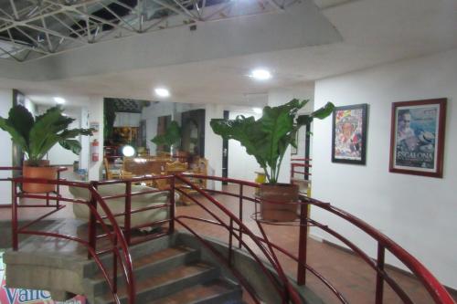 a lobby with a spiral staircase with plants at Hotel Nuevo Tio in Valledupar