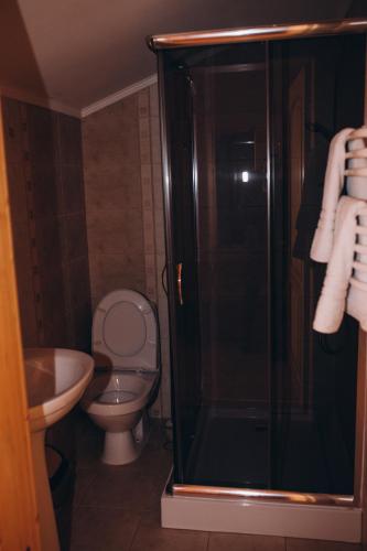 a bathroom with a toilet and a glass shower at Girskyi Kut in Kuty