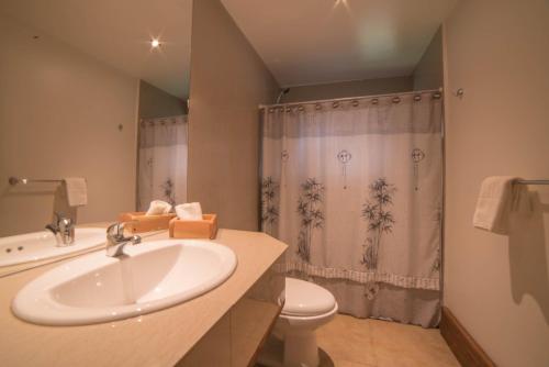 a bathroom with a sink and a toilet and a shower at Complejo Cabañas Quilamalen in Villarrica