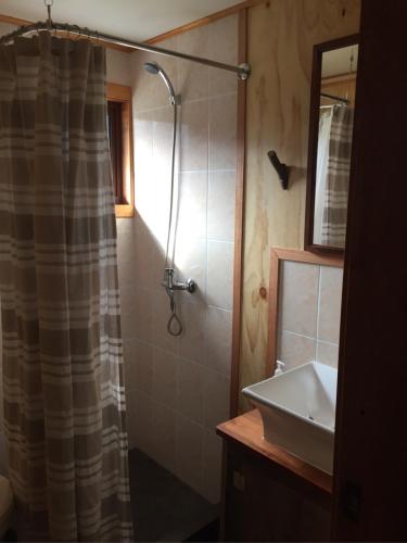 a bathroom with a shower and a sink at Refugio Simple Sur Casa 4 personas in Malalcahuello