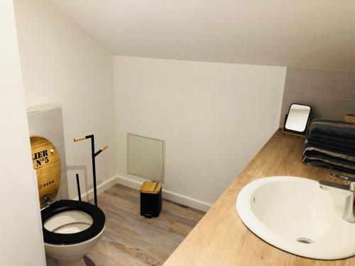 a bathroom with a toilet and a sink at Appartements de Charme in Corte