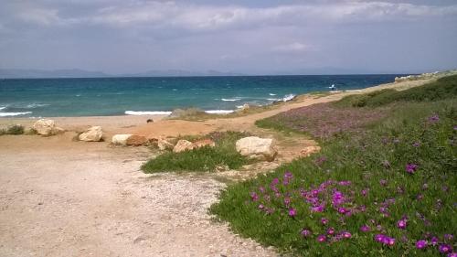 Plaža pokraj apartmana ili u blizini