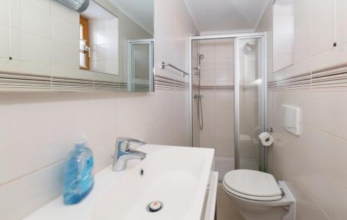 a bathroom with a toilet and a sink and a shower at Kellerstöckl Kamper in Eisenberg an der Pinka