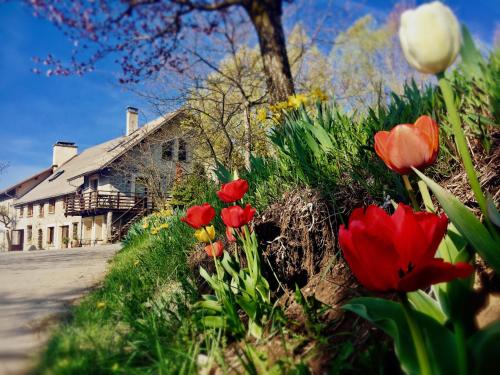 Taman di luar Chambre d'Hôtes La Grange des Ecrins
