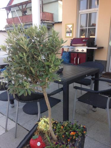 a table with a potted tree on top of it at Gästehaus Tante Tienchen 7 Minuten zu Fuss zum Europa Park , plus kostenloses Parkplatzticket Rulantica ,alle unsere Suiten haben einen Balkon in Rust