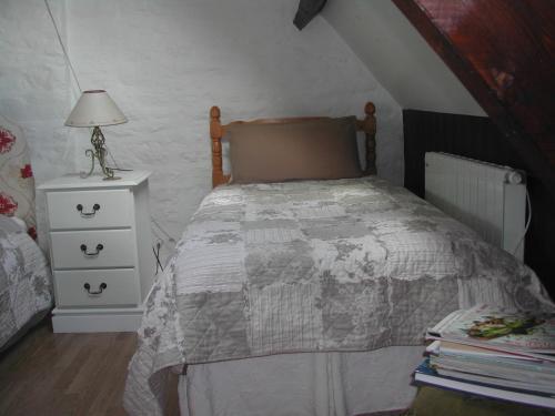 a bedroom with a bed and a night stand with a lamp at L'Auvraire B&B in Coulouvray-Boisbenâtre