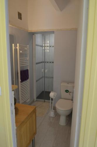 une petite salle de bain avec toilettes et douche dans l'établissement Mas du Puech Cymbale, à Assas
