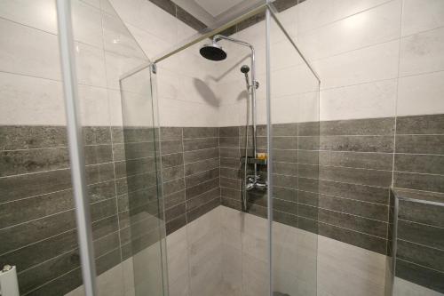 a shower with a glass door in a bathroom at Guesthouse & restaurant Tekovina in Smederevo