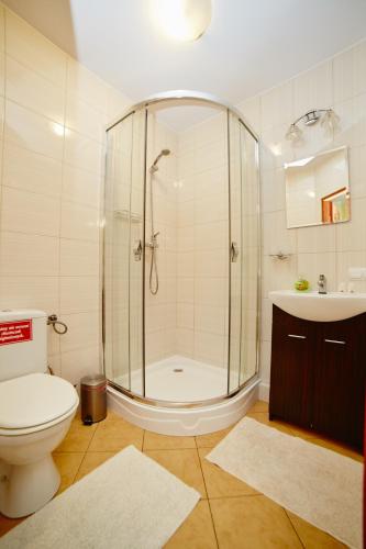 a bathroom with a shower and a toilet and a sink at Siedlisko Leszczewek in Leszczewek