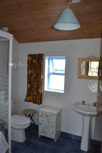 Kylpyhuone majoituspaikassa Marsh Cottage F91 N4A9