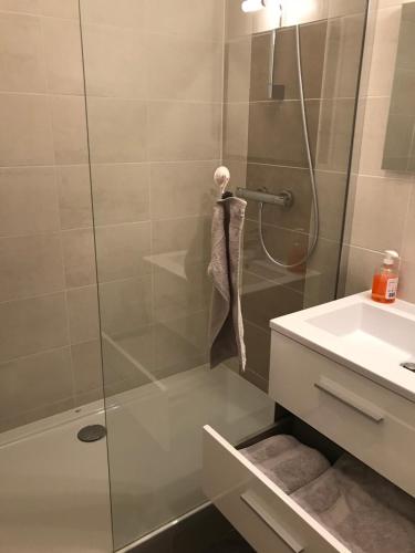 ブールゴアンにあるAppart Meublé Bourgoinのバスルーム(シャワー、シンク付)