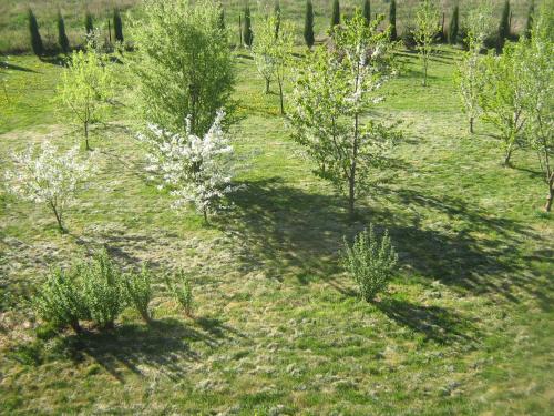 Naturlandschaft in der Nähe des Bauernhofs